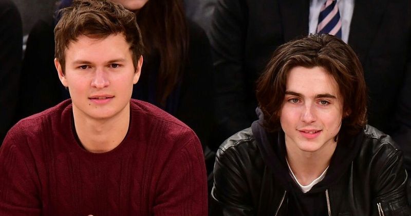 Timothée Chalamet and Ansel Elgort: High school rivals turn BFFs after taking Hollywood by storm