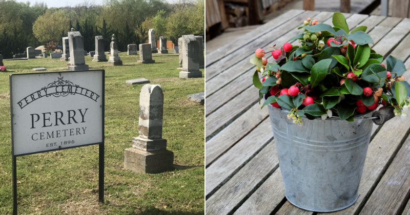 Newborn baby found buried in cemetery flowerpot with her umbilical cord still attached