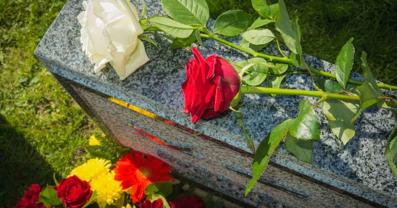 Newborn baby found buried in cemetery flowerpot with her umbilical cord still attached