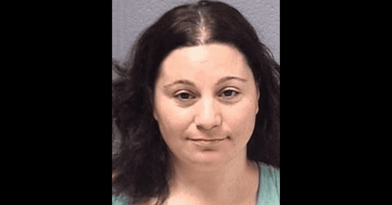 Illinois woman accused of killing over 700 pets at her sanctuary after aide finds 'bag upon of remains'