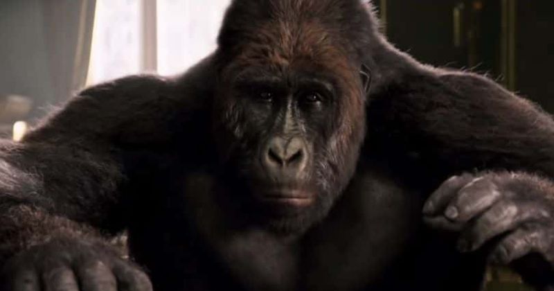 'Dolittle': All the wonderful, wacky animals teaming up with Robert Downey Jr's witty doctor in the movie