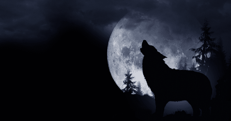 Wolf Moon: The first full moon of 2020 rises this Friday with a spectacular lunar eclipse also on the cards