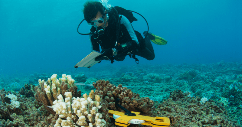 Earth's oceans have absorbed heat equal to 3.6 billion Hiroshima atom bombs in 25 years, finds study