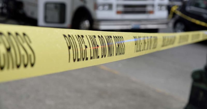 Playboy model charged in murder of 71-yr-old psychiatrist found bludgeoned to death in car trunk