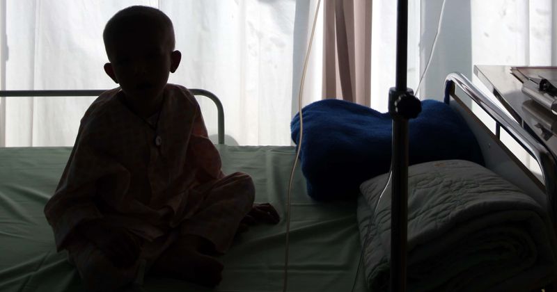 5-year-old battling cancer finds perfect stem cell donor match after over 10,000 people come forward to help