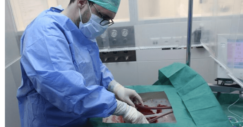 Machine mimicking human body can keep livers alive for 7 days externally, can also treat them, detect ailments
