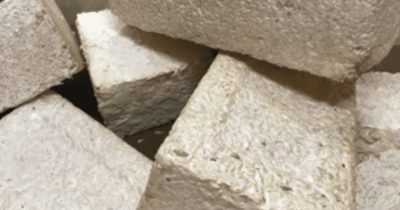 Houses built from fungi such as mushrooms could be the future in space and on Earth