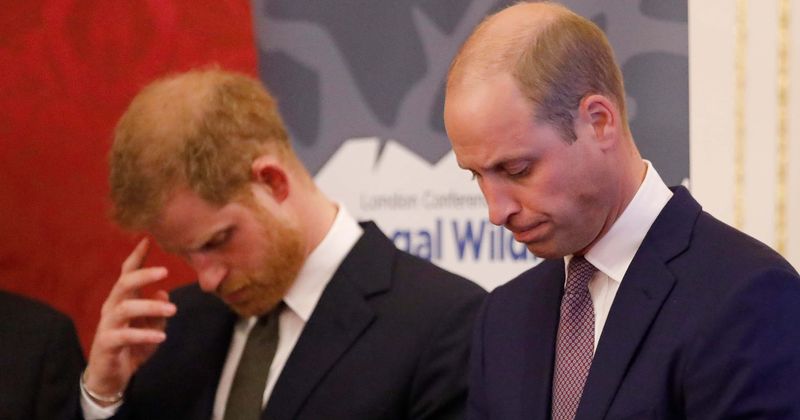 Prince William wanted Harry by his side when he became king but was disappointed as they drifted apart