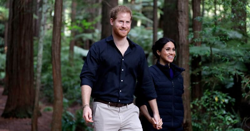 Prince Harry and Meghan Markle just started their own Instagram account, SussexRoyal