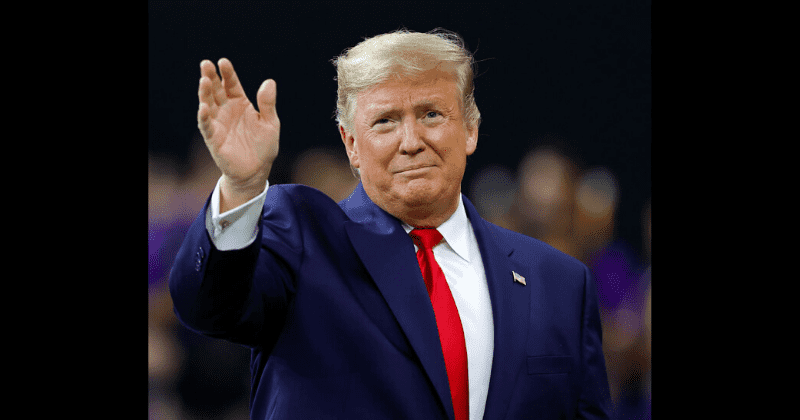 Trump would win if elections are held today and only Bloomberg can stop him, says Democrat's campaign manager