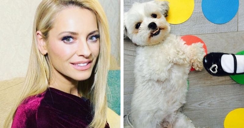 Tess Daly devastated after she accidentally killed pet pooch Minnie: 'It’s a dog owner’s worst nightmare'