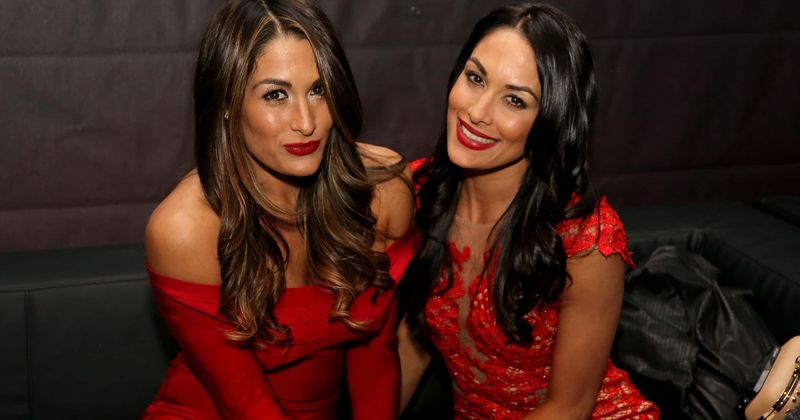 WWE twins Brie and Nikki Bella are both pregnant and due merely two weeks apart