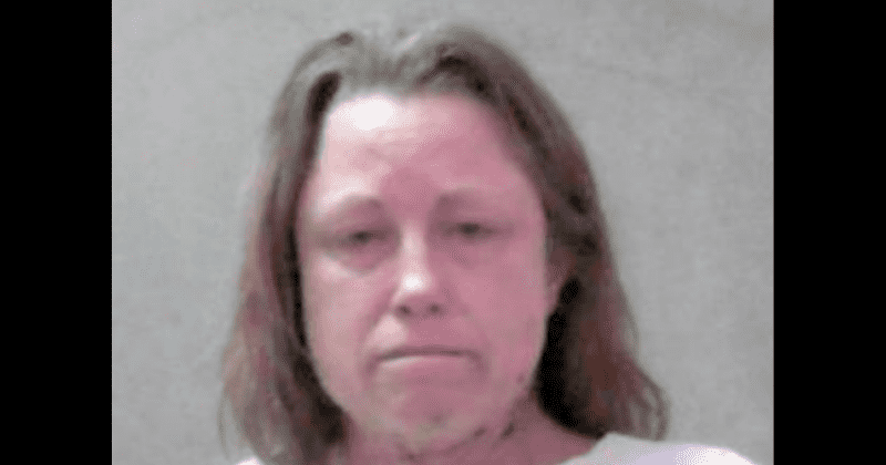 West Virginia mother shot her two daughters after asking them to look for kittens under bed, killing 1 of them