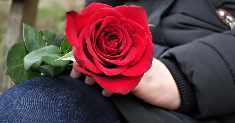 Homeless LA women will be gifted a surprise rose this Valentine's week to lift their spirits