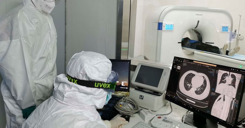Coronavirus outbreak: WHO chief warns that this is just the 'tip of the iceberg' as virus spreads across globe