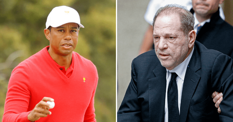Harvey Weinstein's defense compares him to Tiger Woods, claims he's a 'sex addict and not a rapist'
