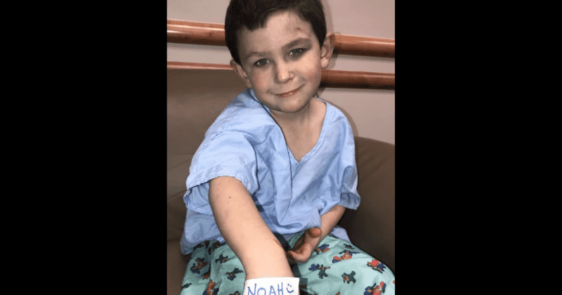 Georgia 5-year-old helps 2-year-old sister escape through window before rescuing family, dog from burning home
