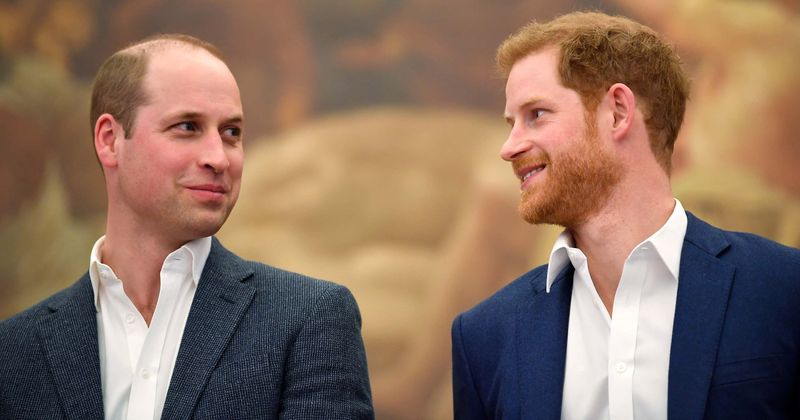 Prince William confides in Kate and is more 'level-headed' than Prince Harry who 'takes everything personally'