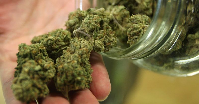 Medical marijuana could prove to be an effective combatant against opioid epidemic, says expert