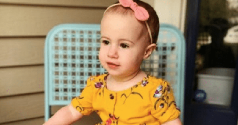 Indiana grandfather who dropped 18-month-old Chloe Wiegand from cruise ship window to plead guilty