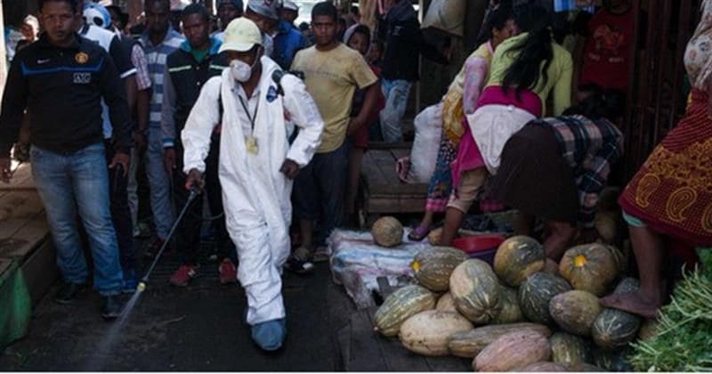 Madagascar's deadly pneumonic plague is waiting to break out of Africa, warn experts