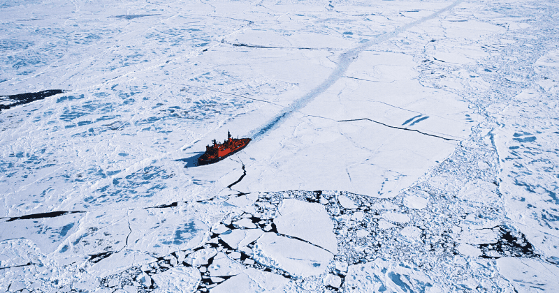 Coronavirus pandemic hits largest Arctic expedition as scientist tests positive despite showing no symptoms