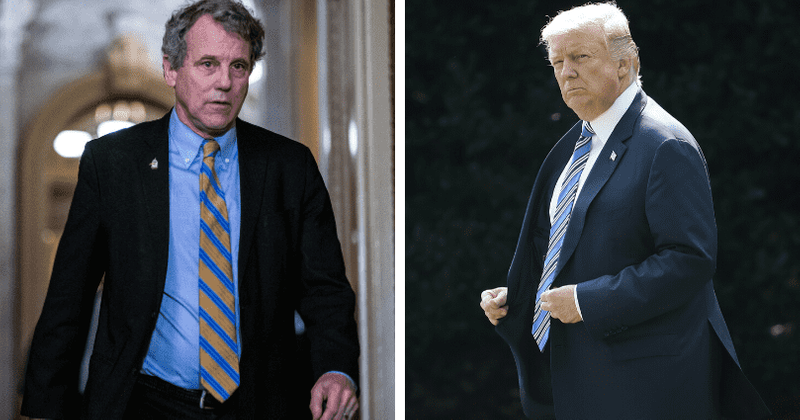 Trump may delay 2020 election due to coronavirus citing Ohio primary postponement, says Senator Sherrod Brown