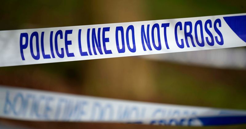 Vermont woman drank tea and slept with boyfriend's corpse after slashing his throat