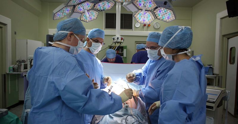 Transgender people being denied lifesaving surgeries as hospitals prioritize coronavirus cases