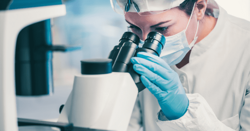 Coronavirus has a natural origin and is not a lab-grown bioweapon, new research ends speculation