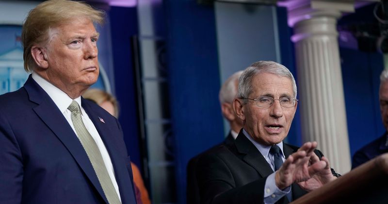 Where's Anthony Fauci, ask Americans as 'truth-teller' in coronavirus task force skips Trump's briefing again