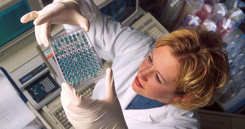 Blood from coronavirus survivors to be used to treat critically ill patients in New York after FDA approval