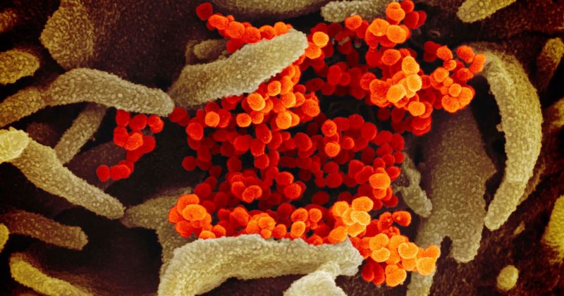 First US minor to die of coronavirus was turned away from care center because he had no insurance