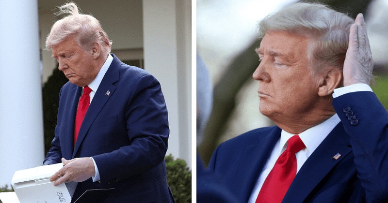 Trump boasts about his 'blowing hair' in the middle of coronavirus press conference: 'It's mine'