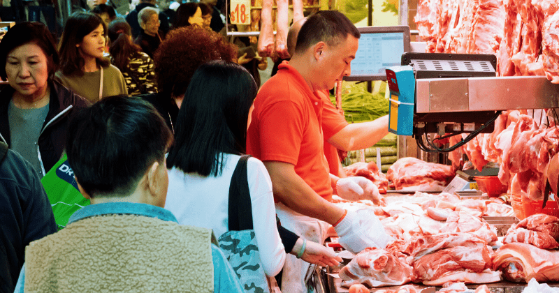 Chinese city Shenzhen bans eating dogs and cats amid pandemic, says 'modern civilization' calls for it