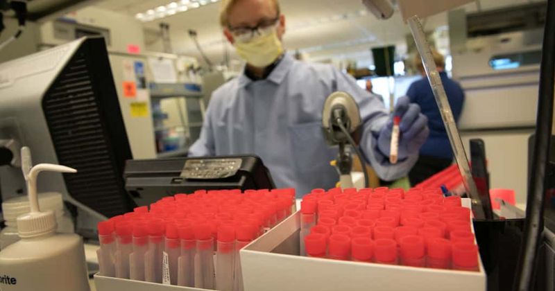 BAT and Philip Morris claim they're developing 'faster and safer' coronavirus vaccine using tobacco plants