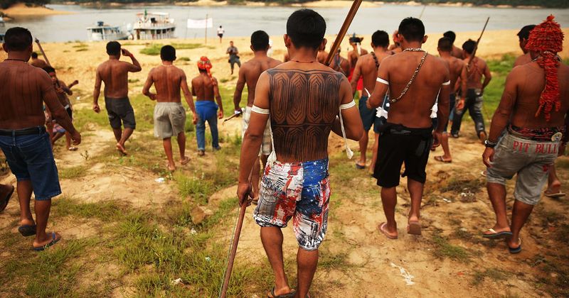 Protecting indigenous communities from coronavirus is 'a matter of our own self-preservation', say experts