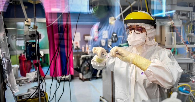 Blood plasma of recovered coronavirus patients helps save severely ill and may be a key solution, study shows