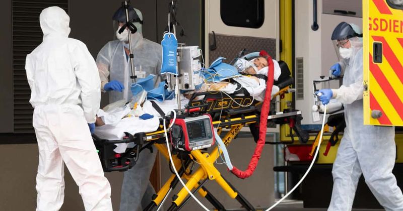 Some coronavirus patients are dying not from disease but their over-active immune system attacking their organs