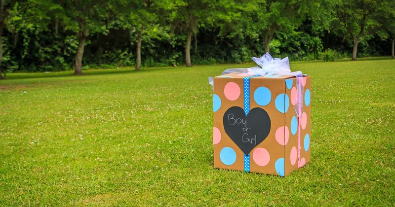 Pregnant schoolgirl, 14, and her 10-year-old boyfriend announce they are having a girl at gender reveal party
