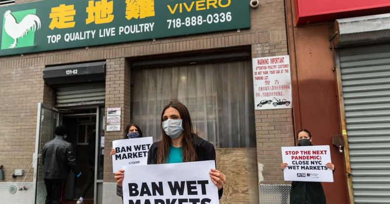 80 wet markets operating in New York amid lockdown are breeding ground for the next pandemic, says report
