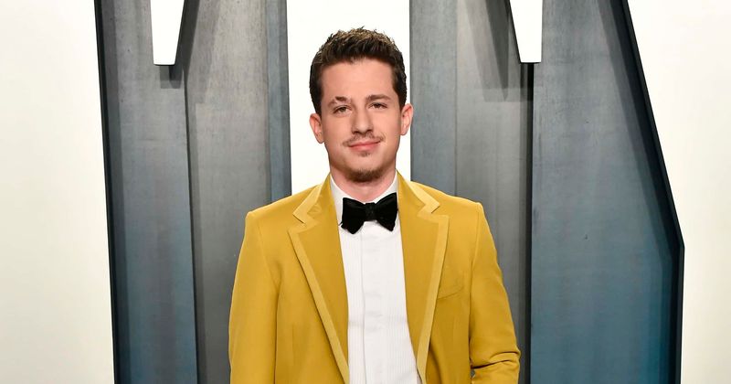 'American Idol' Season 18: Charlie Puth, Stevie Wonder among celebrity guests for remotely filmed Top 10 episode