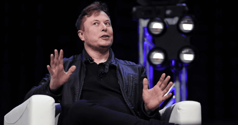 Will Elon Musk be fired as Tesla CEO after he sends shares into freefall with deluge of bizarre tweets?