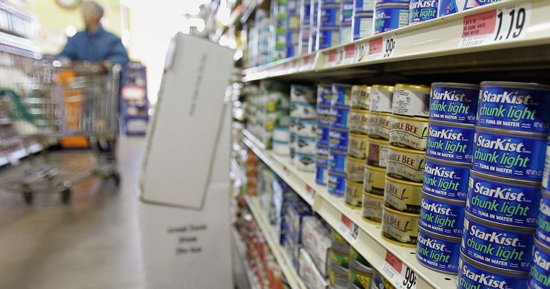 Tuna fisheries, canneries struggle as demand for canned protein skyrockets amid lockdown restrictions