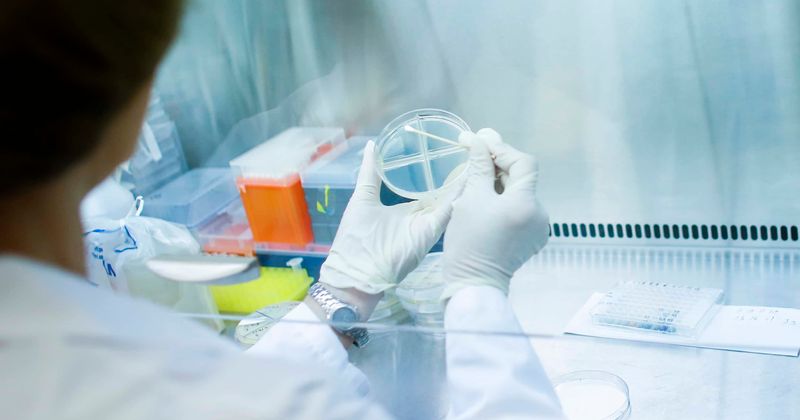 Can gene therapy help develop coronavirus vaccine? Researchers banking on this technology for breakthrough
