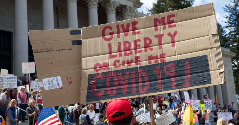 Conservative author Bethany Mandel slammed for 'you can call me grandma killer' tweet about lifting lockdown