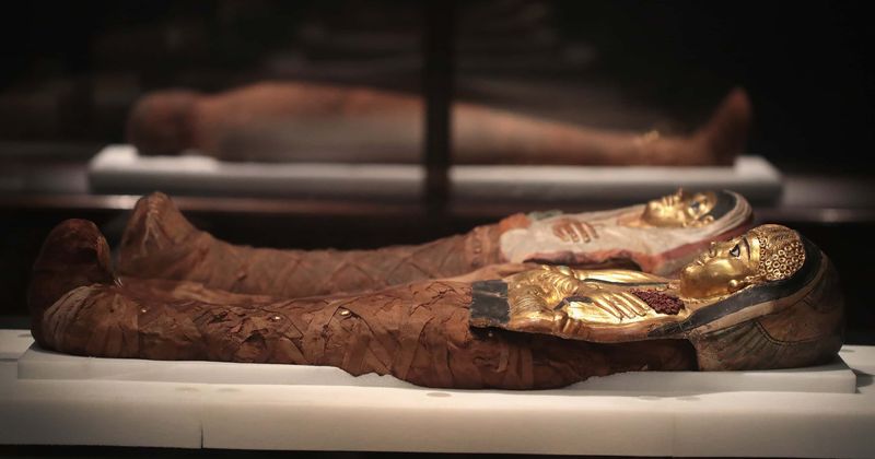 Ancient Egyptian undertakers were business savvy and offered discount packages to clients, reveals new finding
