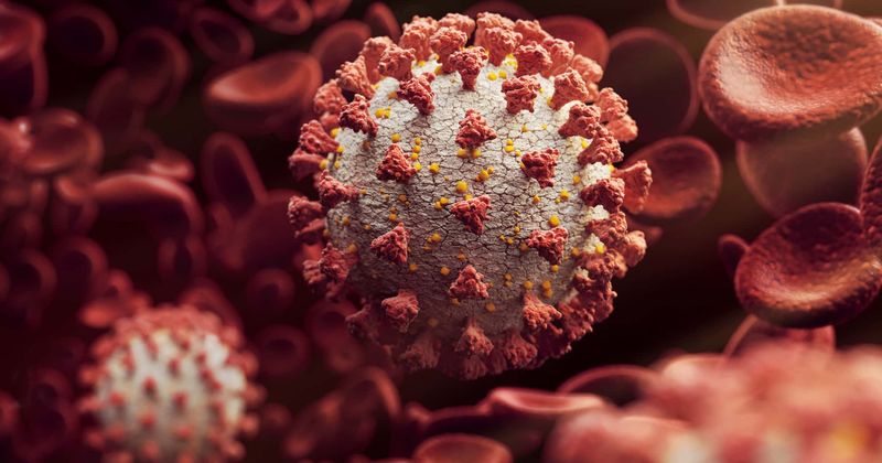Our bodies fight Covid-19 by targeting different parts of the virus, shows study on recovered patients