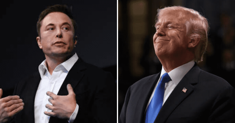 Trump backs Elon Musk's decision to reopen California plant in defiance of coronavirus closure order