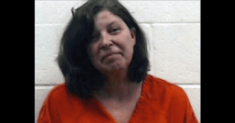 Arkansas Sen. Linda Collins was 'killed for money' by ex campaign aide who also plotted to murder case judge